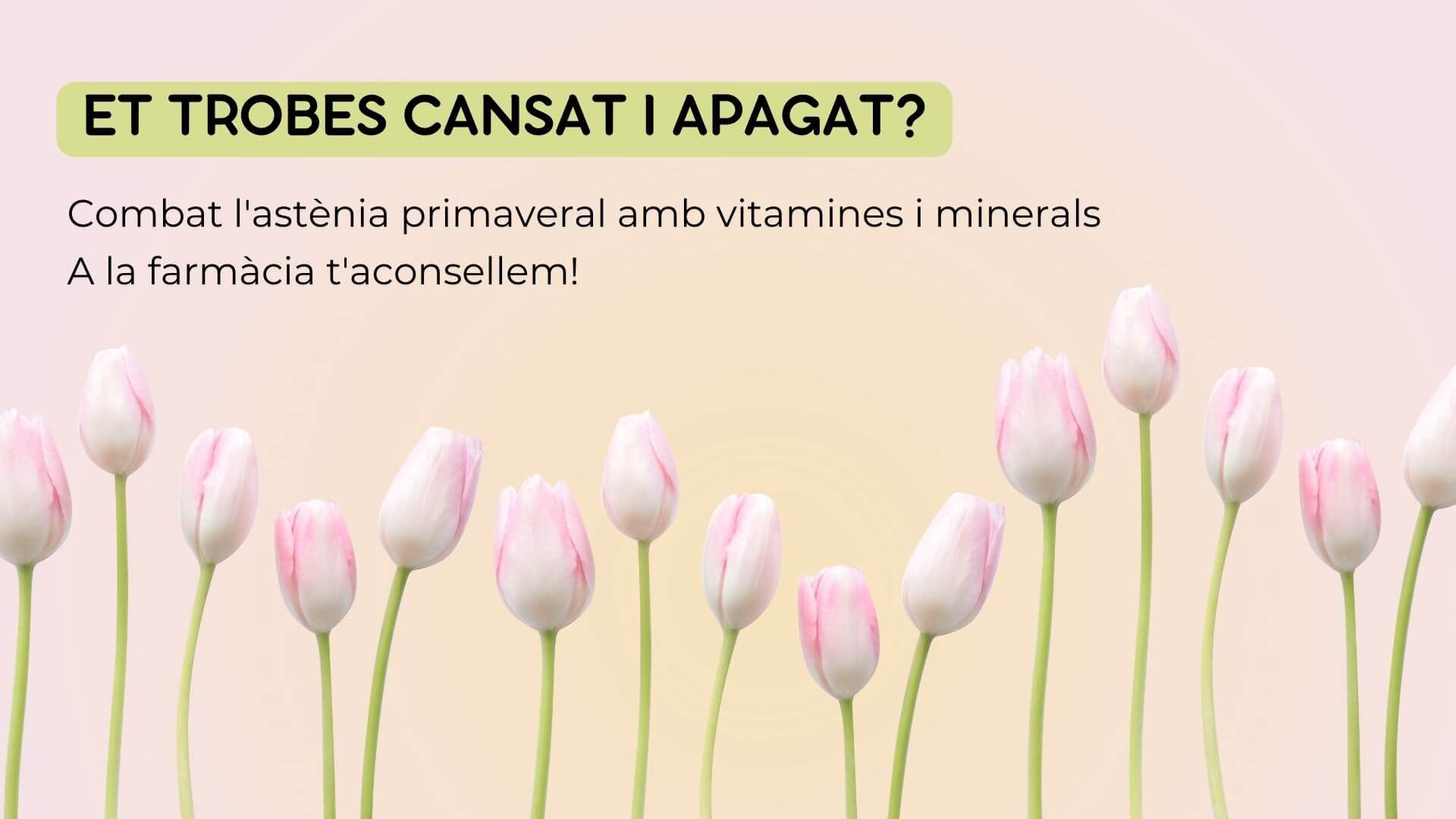 Et trobes cansat i apagat? Combat l'astènia primaveral amb vitamines i minerals. A la farmàcia t'aconsellem!