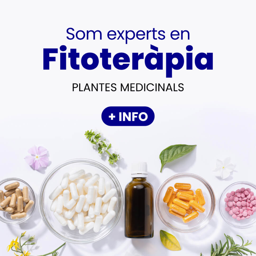Som experts en fitoteràpia - plantes medicinals. Fes clic per a més info.