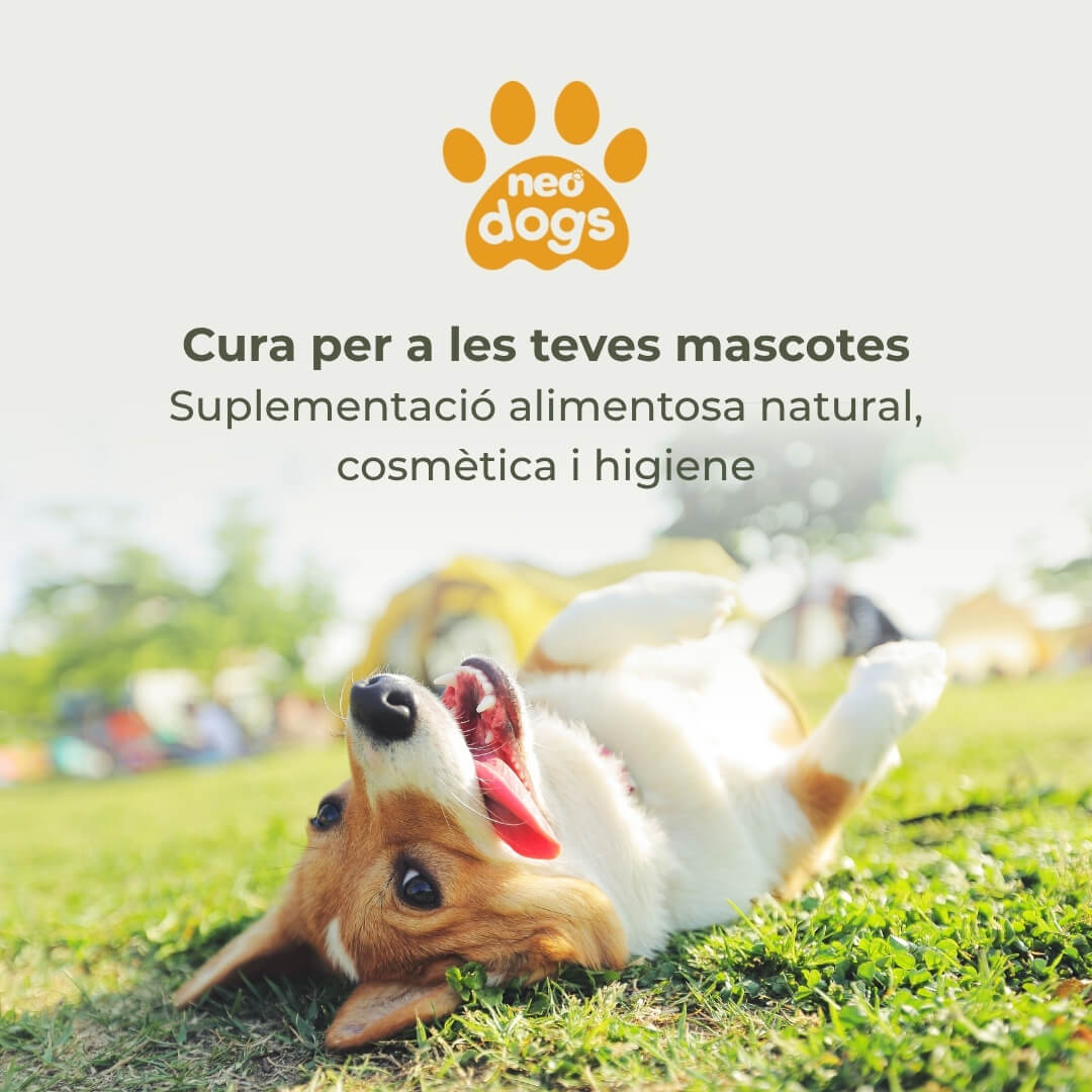Neo dogs. Cura per a les teves mascotes: Suplementació alimentosa natural, cosmètica i higiene.